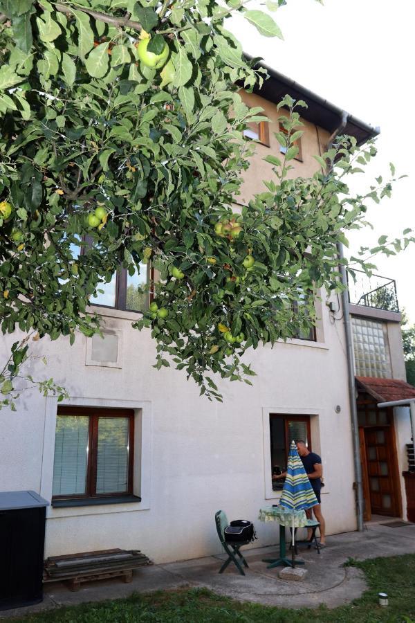 Vila Rijad Sarajewo Zewnętrze zdjęcie